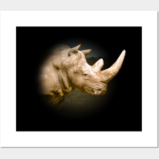 Rhinoceros Posters and Art